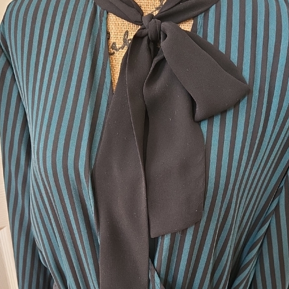 Eva Mendes for New York & Company Teal and Black Striped Dress - Picture 6 of 12